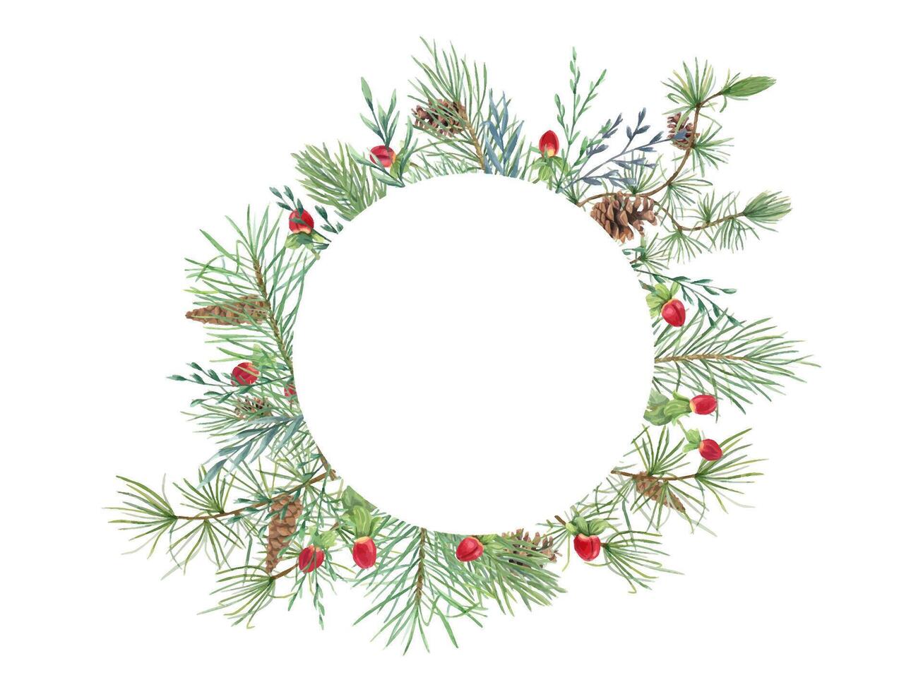 Christmas wreath with pine cones, berries, herbs, evergreen branches. Spruce, Larch, cone and St Johns wort. Watercolor illustration. Perfect for greeting cards, invitations, holiday season project vector