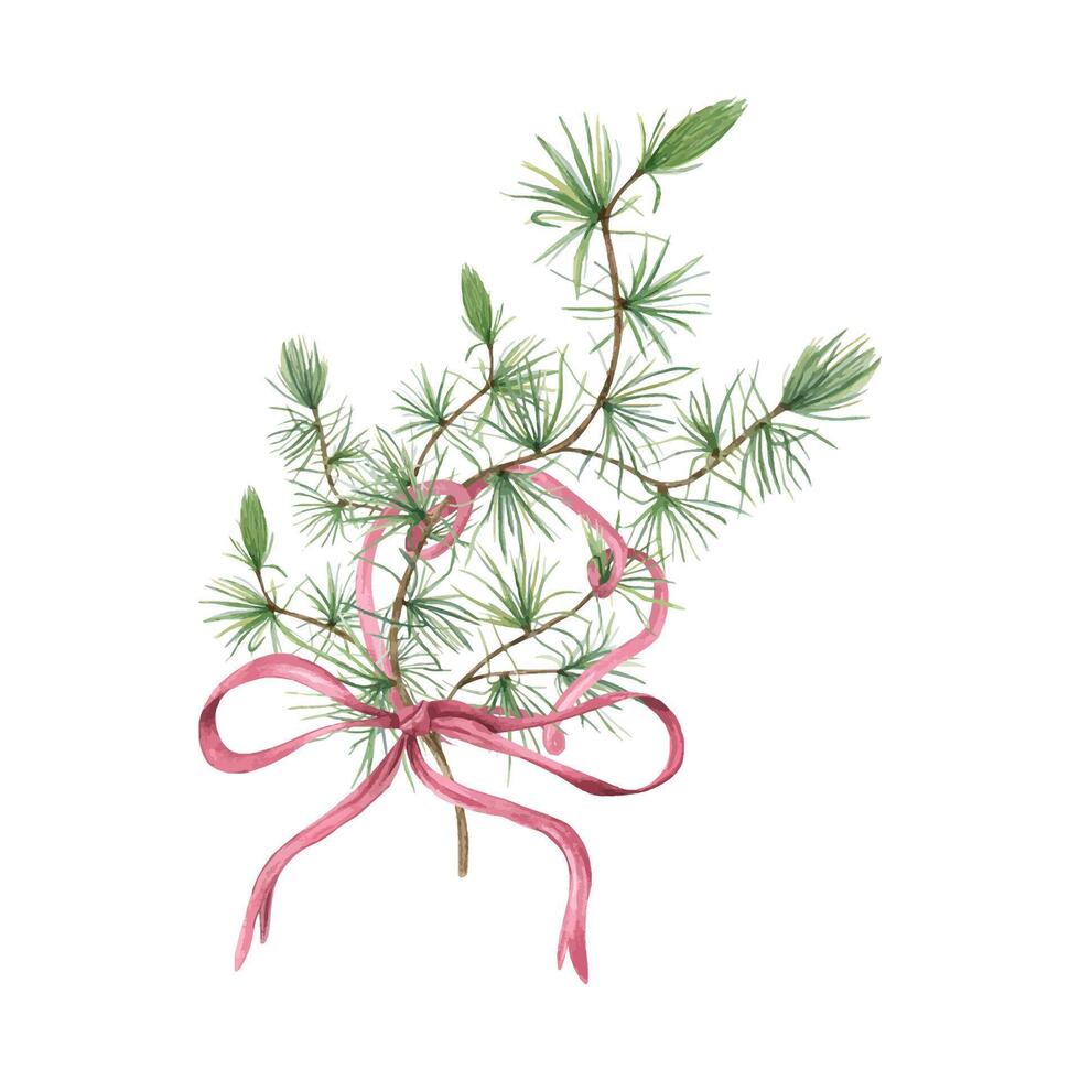 Larch bouquet with dusk pink ribbon. Branch with green foliage and bow. Christmas pine tree branch with needles. Watercolor illustration. For holiday designs, invitations, or decorative projects. vector
