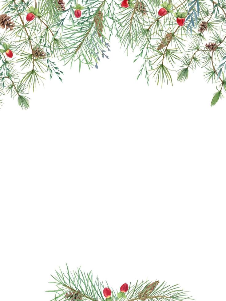 Pine cones, red berries, herbs and evergreen branches. Fir, Larch, spikelet and hypericum berry. Christmas vertical frame with empty space for text. Watercolor illustration. For Xmas greeting card vector