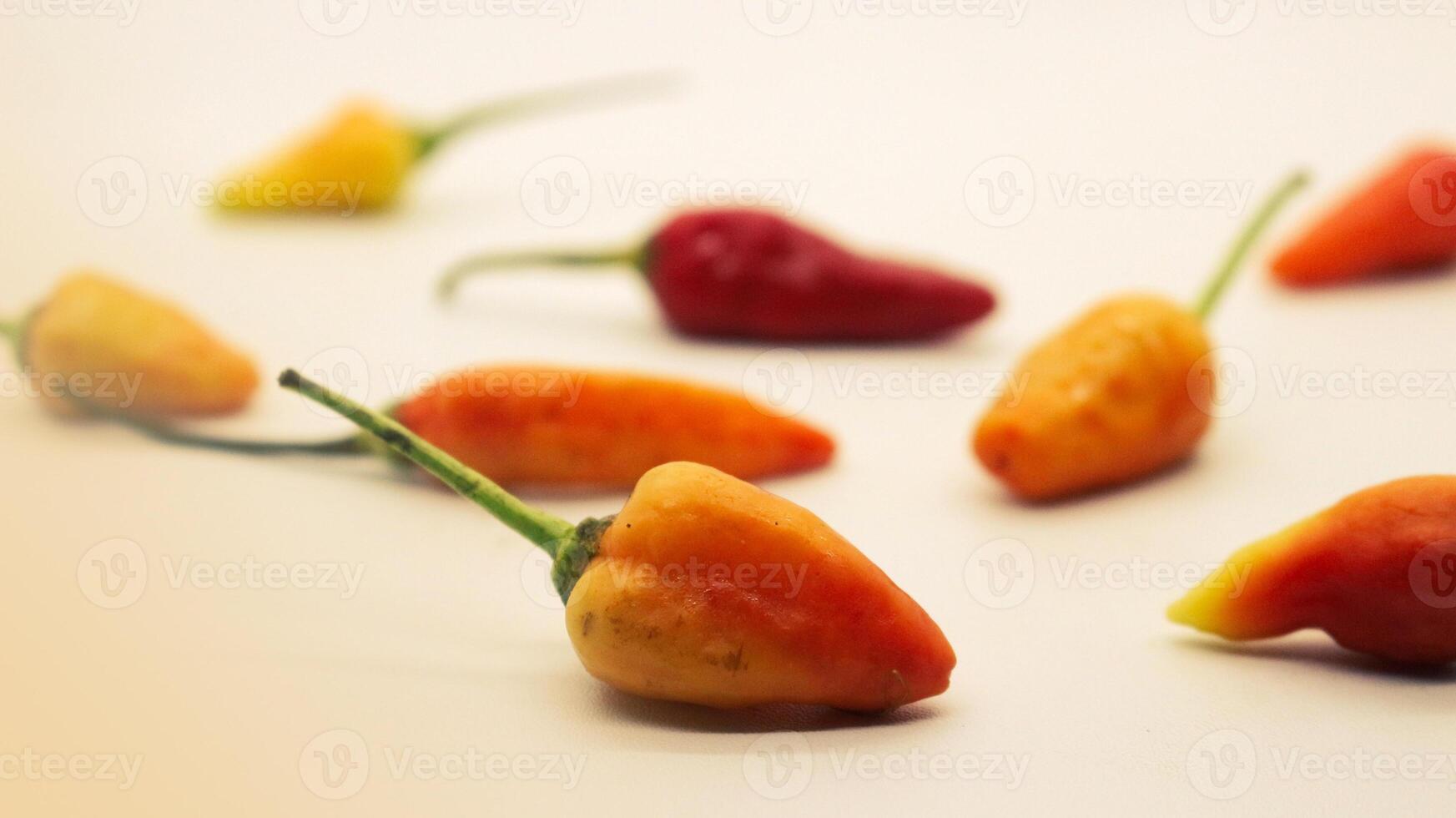 Chili on a white background photo