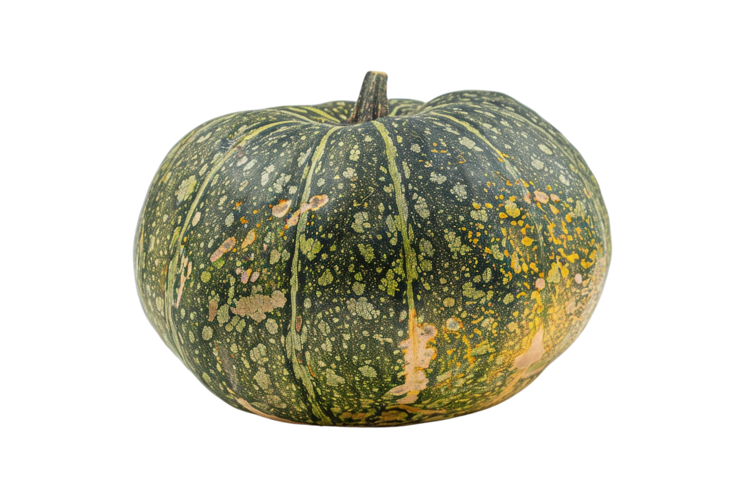 Green pumpkin with yellow spots png