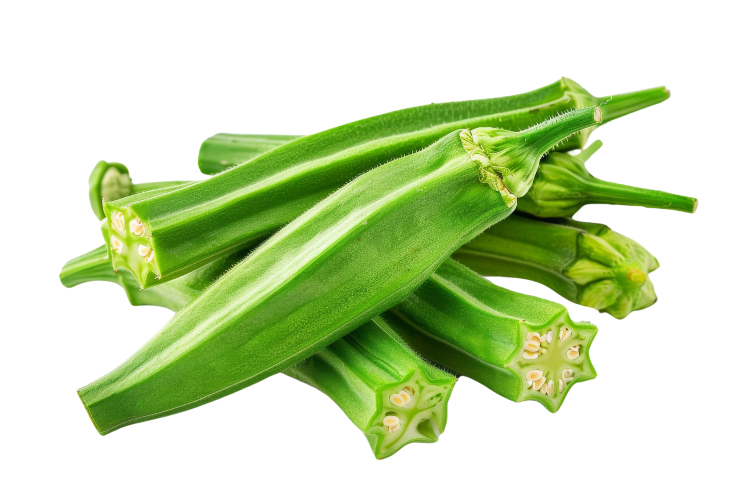 frisch Okra Schoten isoliert png