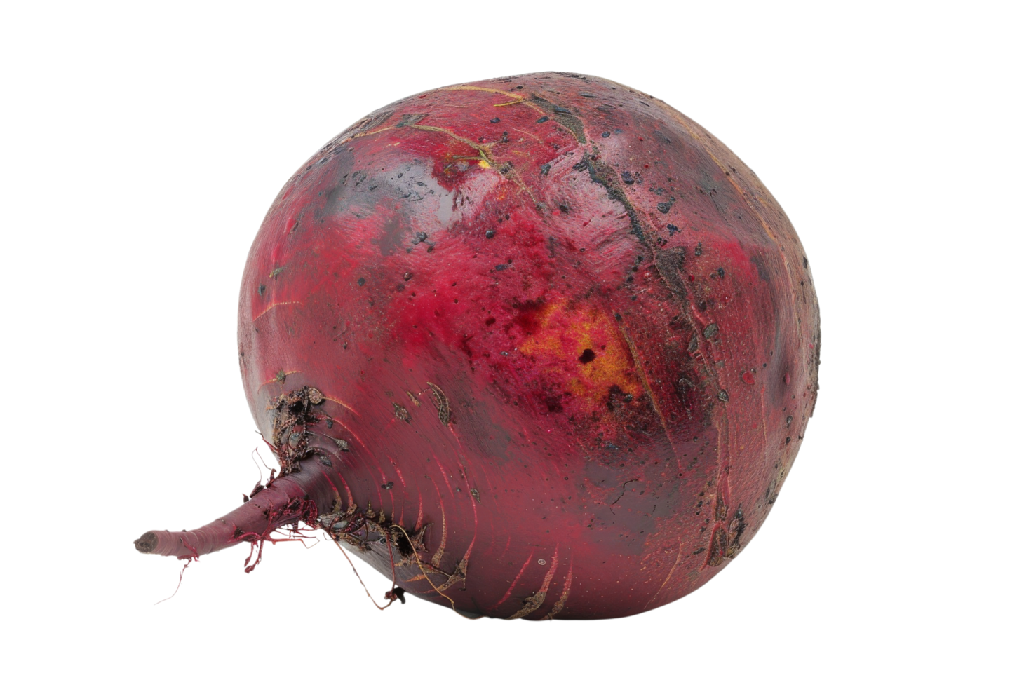 Fresh Beetroot Isolated png