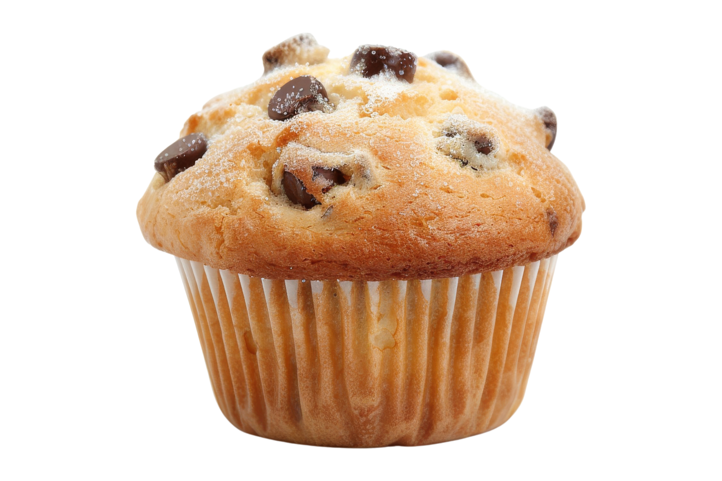 Chocolate Chip Muffin with Sprinkles png