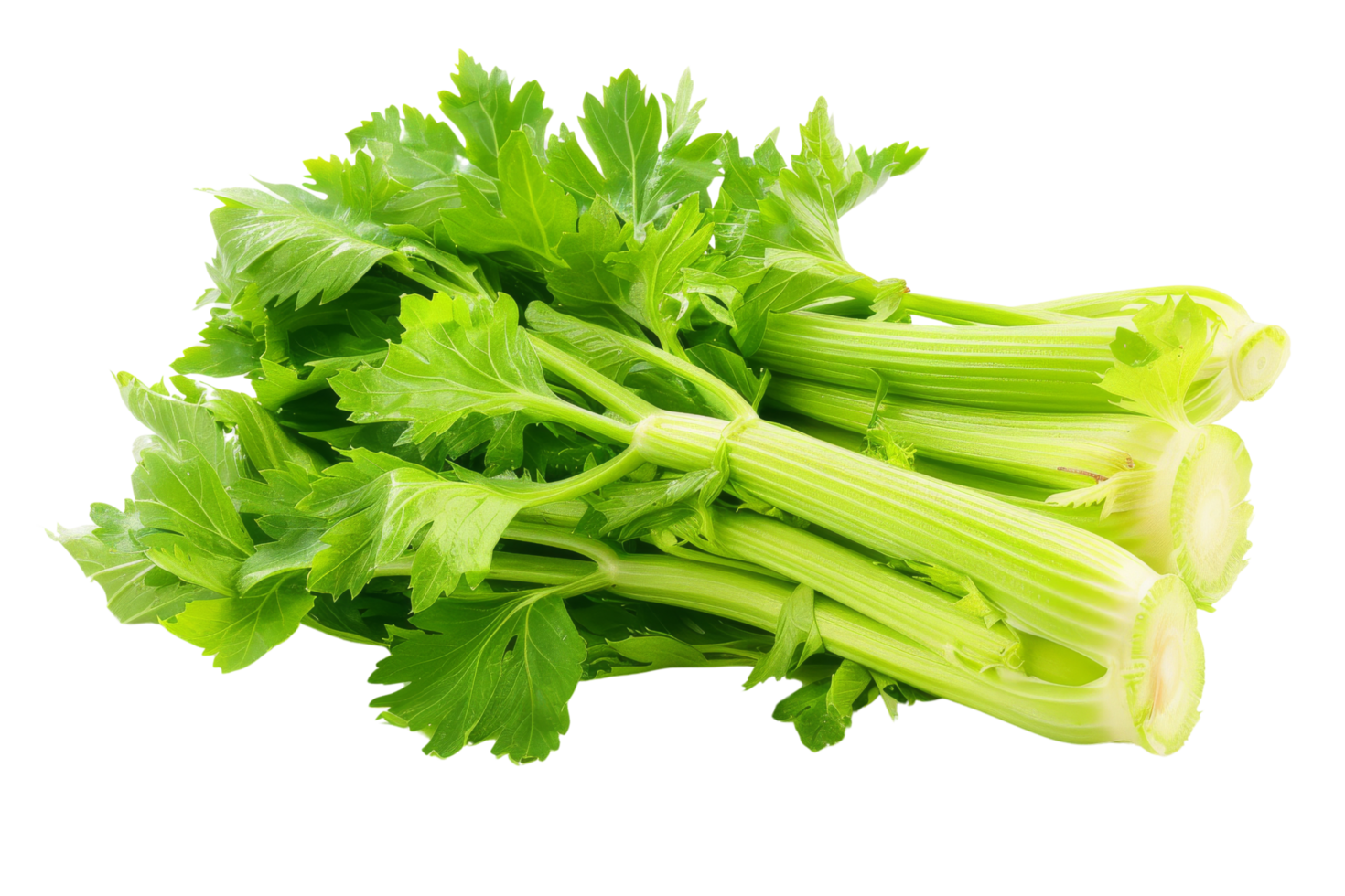 Fresh Green Celery Stalks with Leaves png