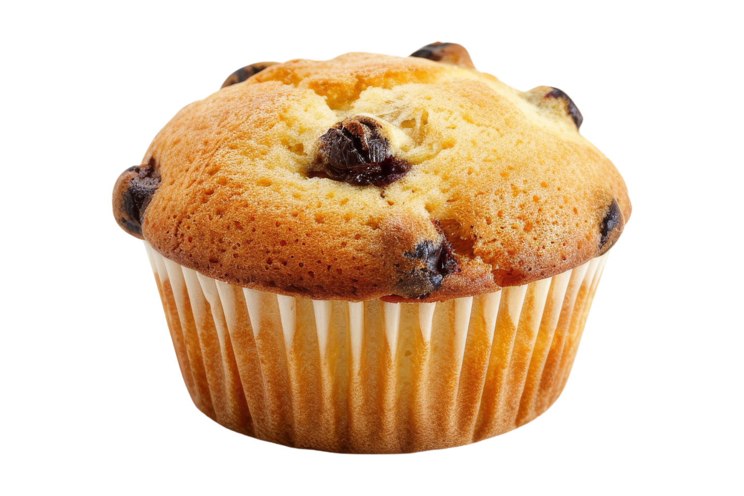 Close-up of a Delicious Chocolate Chip Muffin png