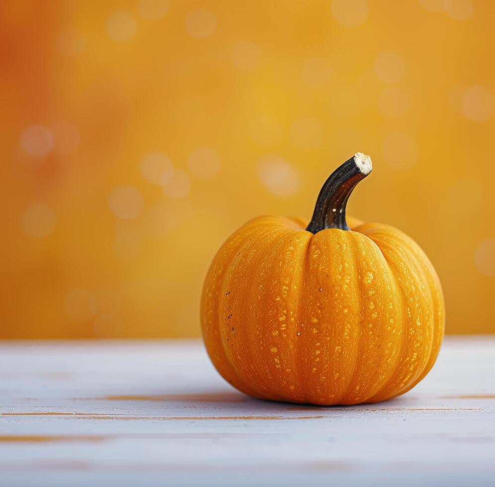 Single Pumpkin on White Table photo