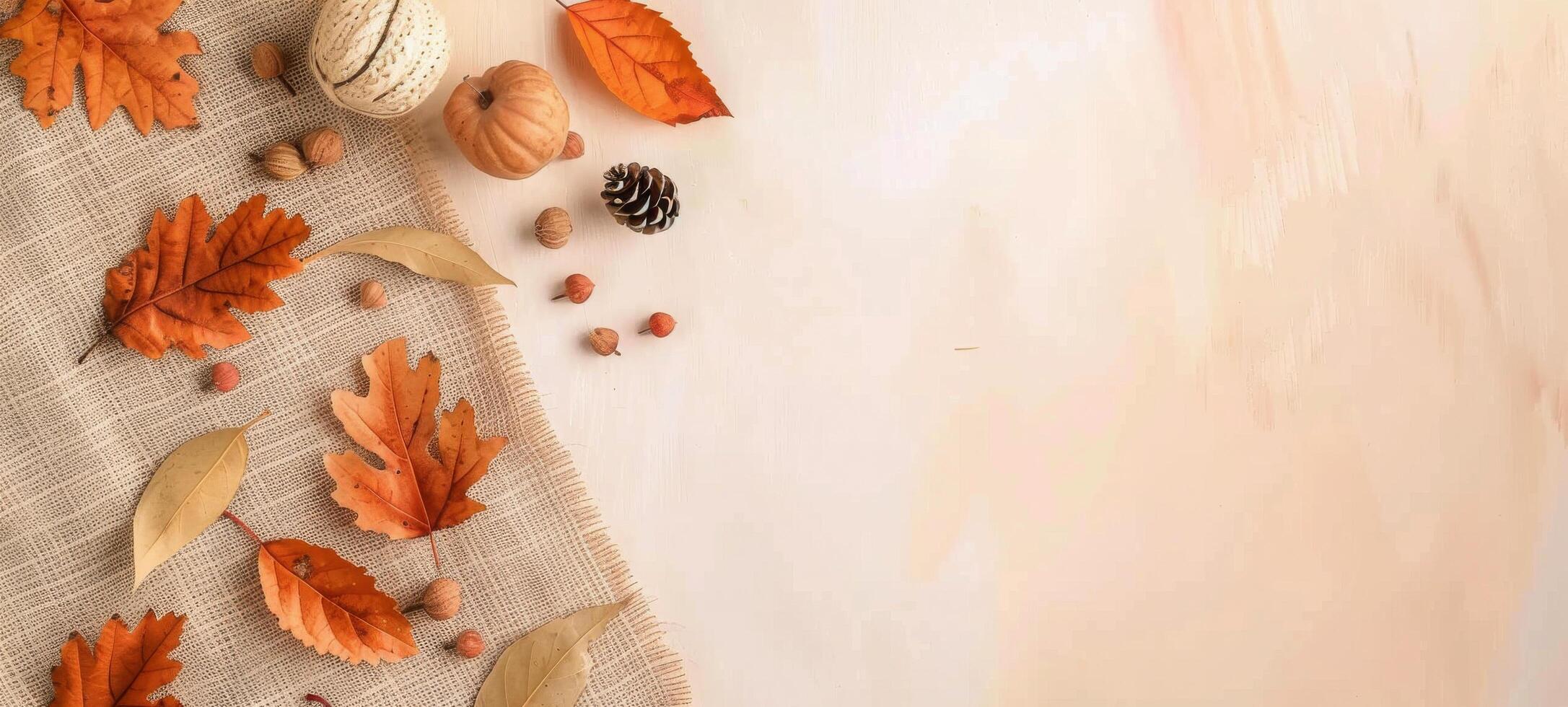 Autumn Leaves and Pine Cones on a White Background photo