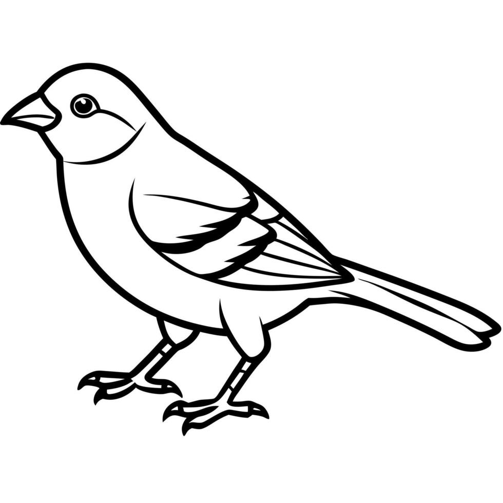 Chaffinch bird walks icon vector
