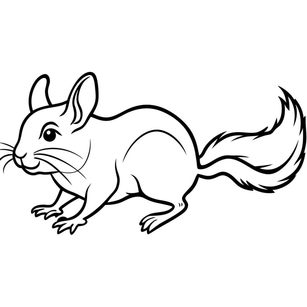Chinchilla rodent runs icon vector