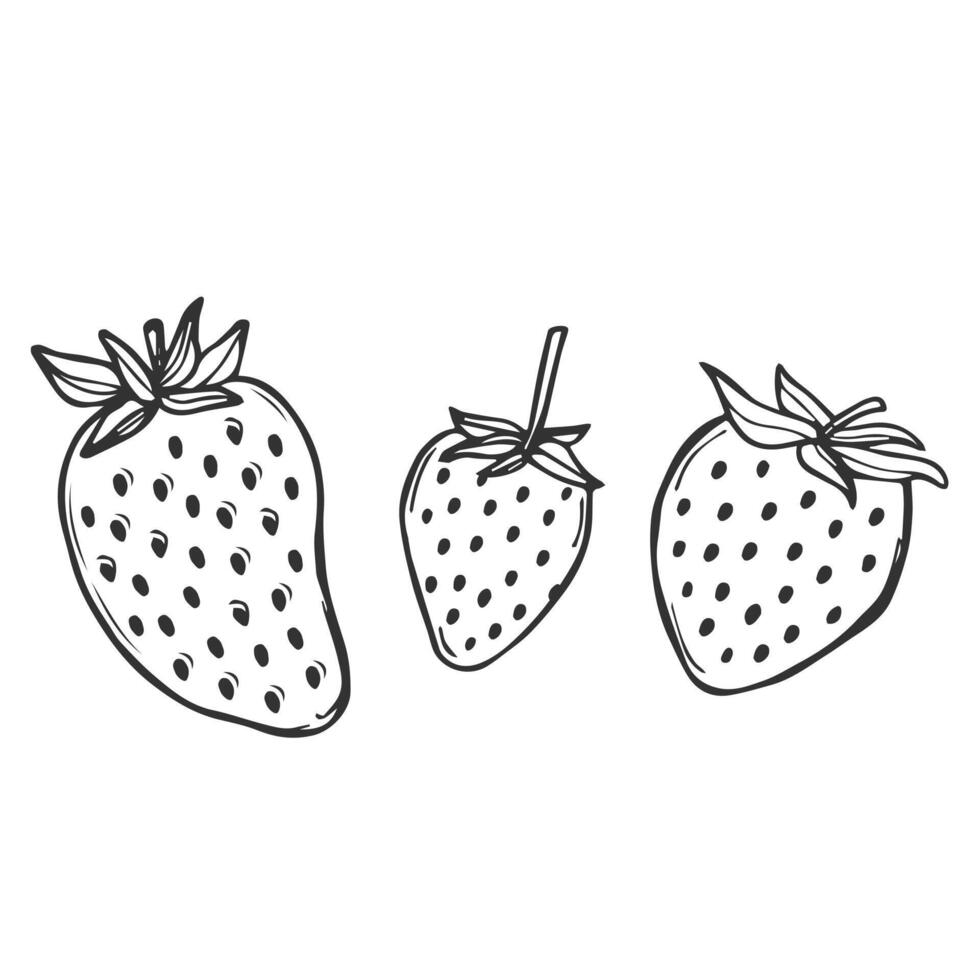 Strawberry line icon in doodle style. Symbol in simple design. Cartoon object hand drawn isolated on white background. vector