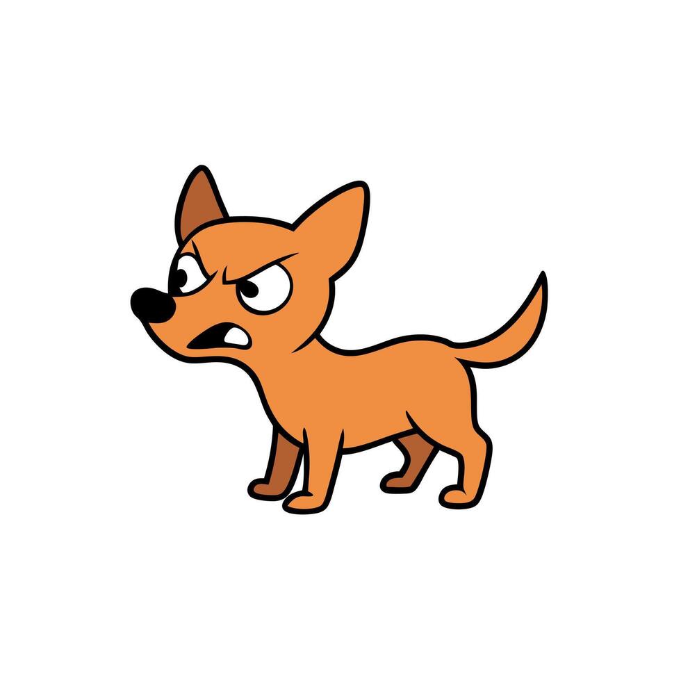 Chipoo dog angry icon vector