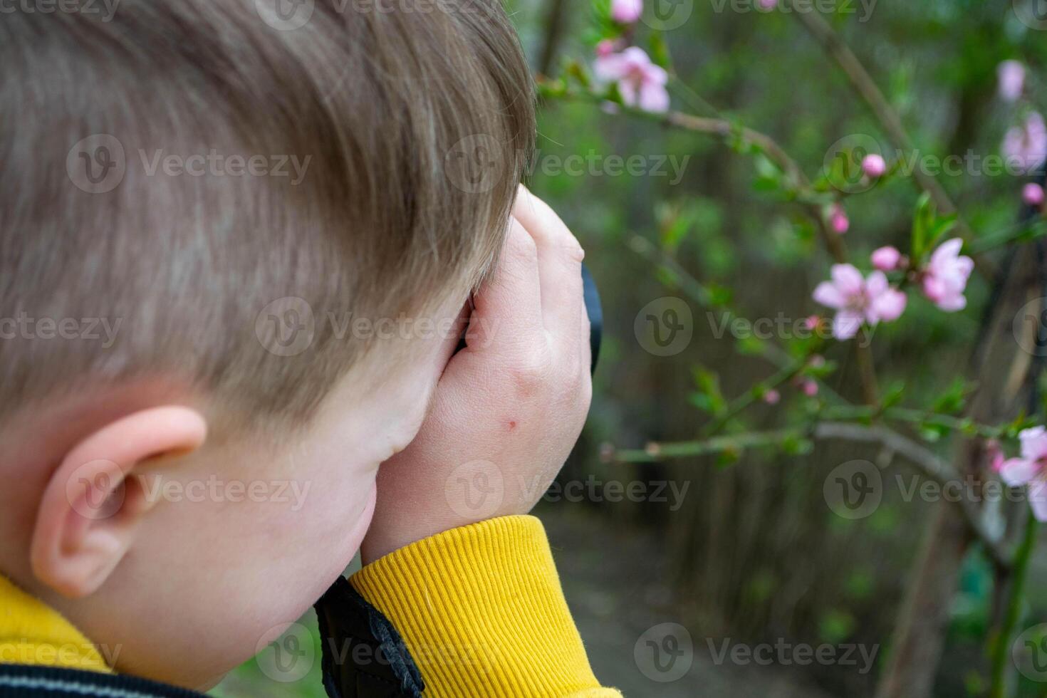 A boy looks through a binoculars at a flower garden. photo