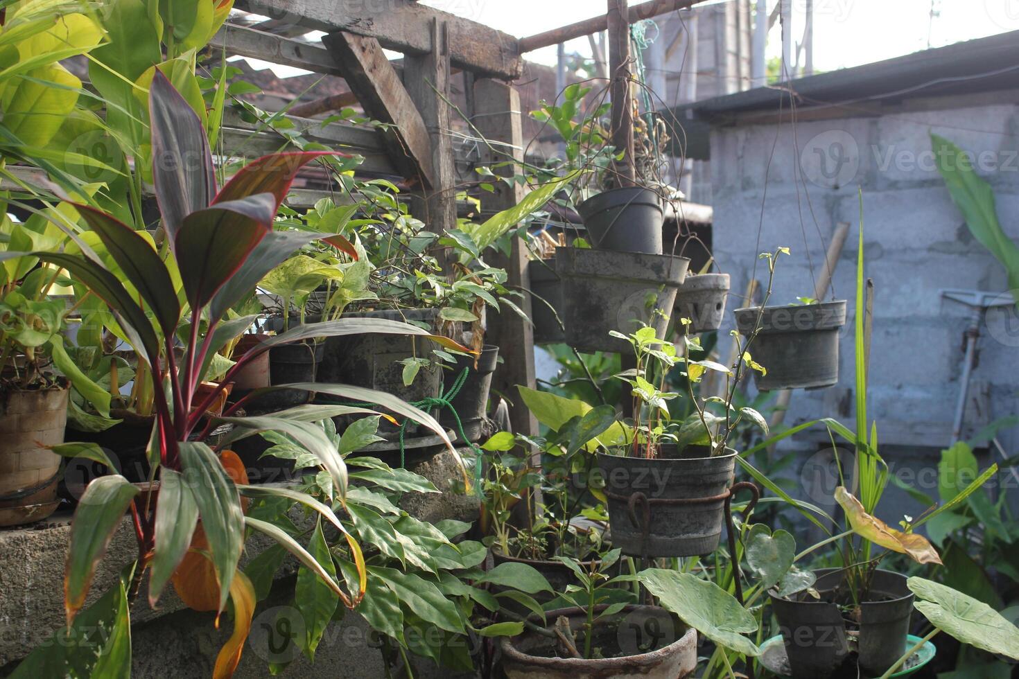 a planter with plants in it and a bucket with plants in it photo