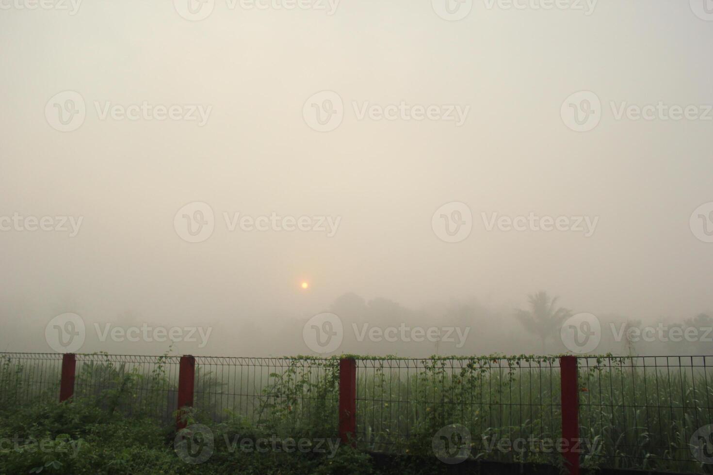 a foggy day with a fence and a fence photo