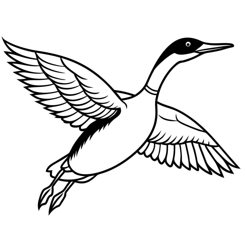 Clarks Grebe bird flies icon vector