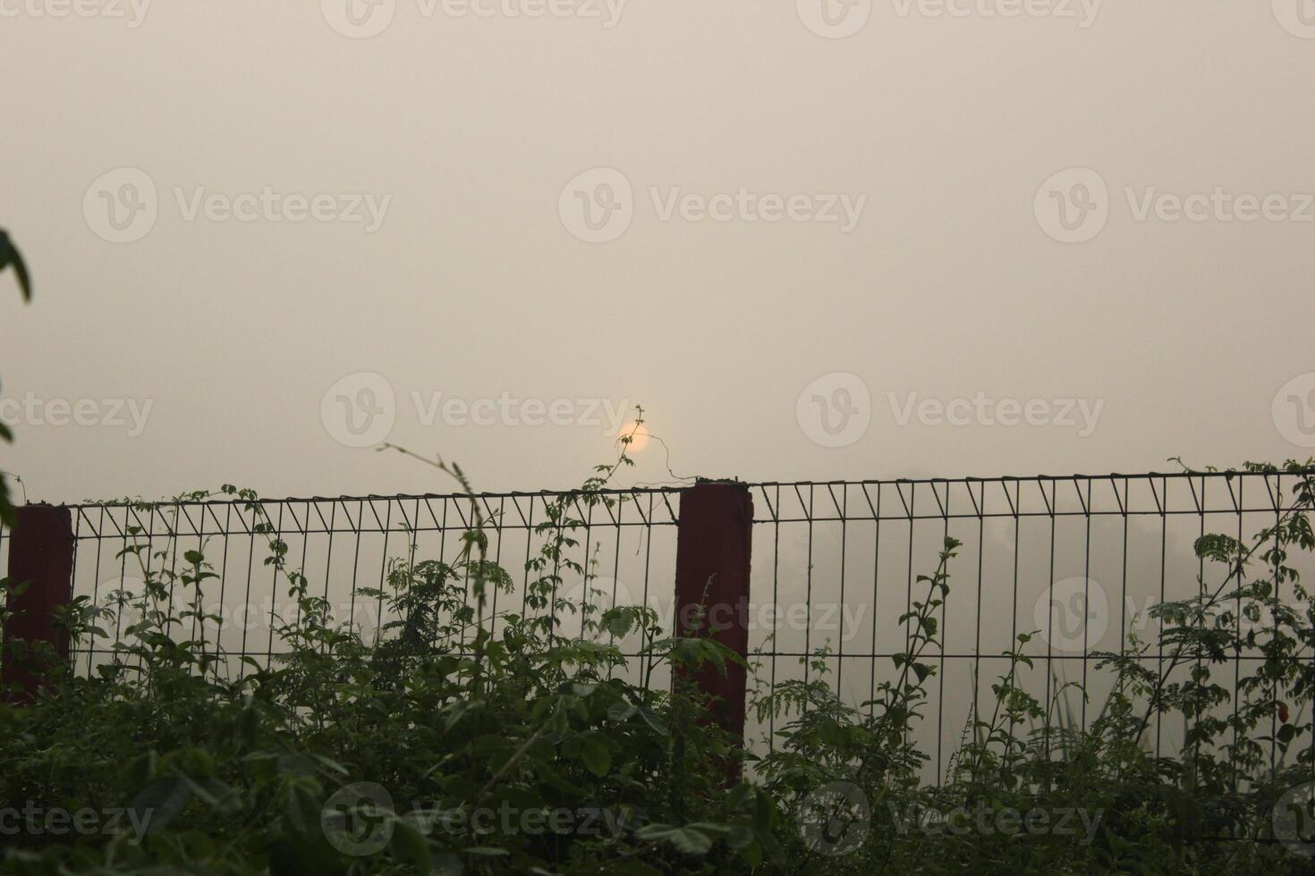 a fence with a fence and a bird on it photo