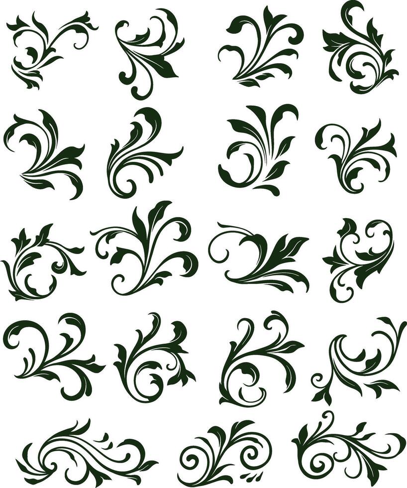 Set Floral Ornament Element vector