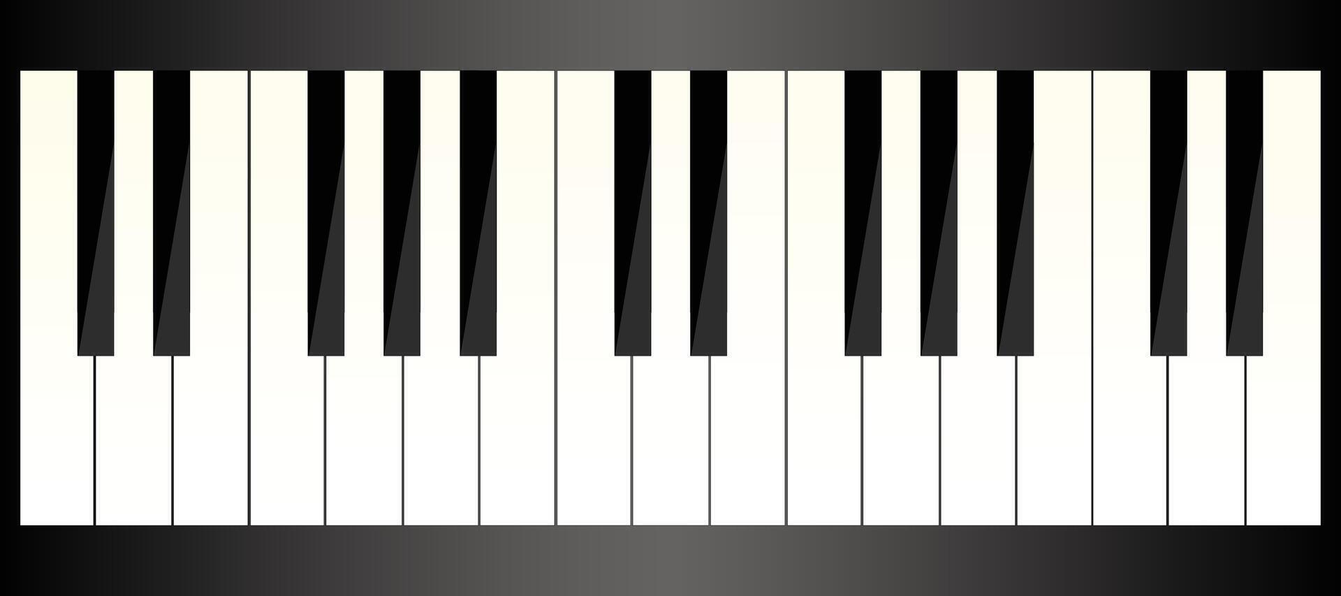piano keys illustration vector