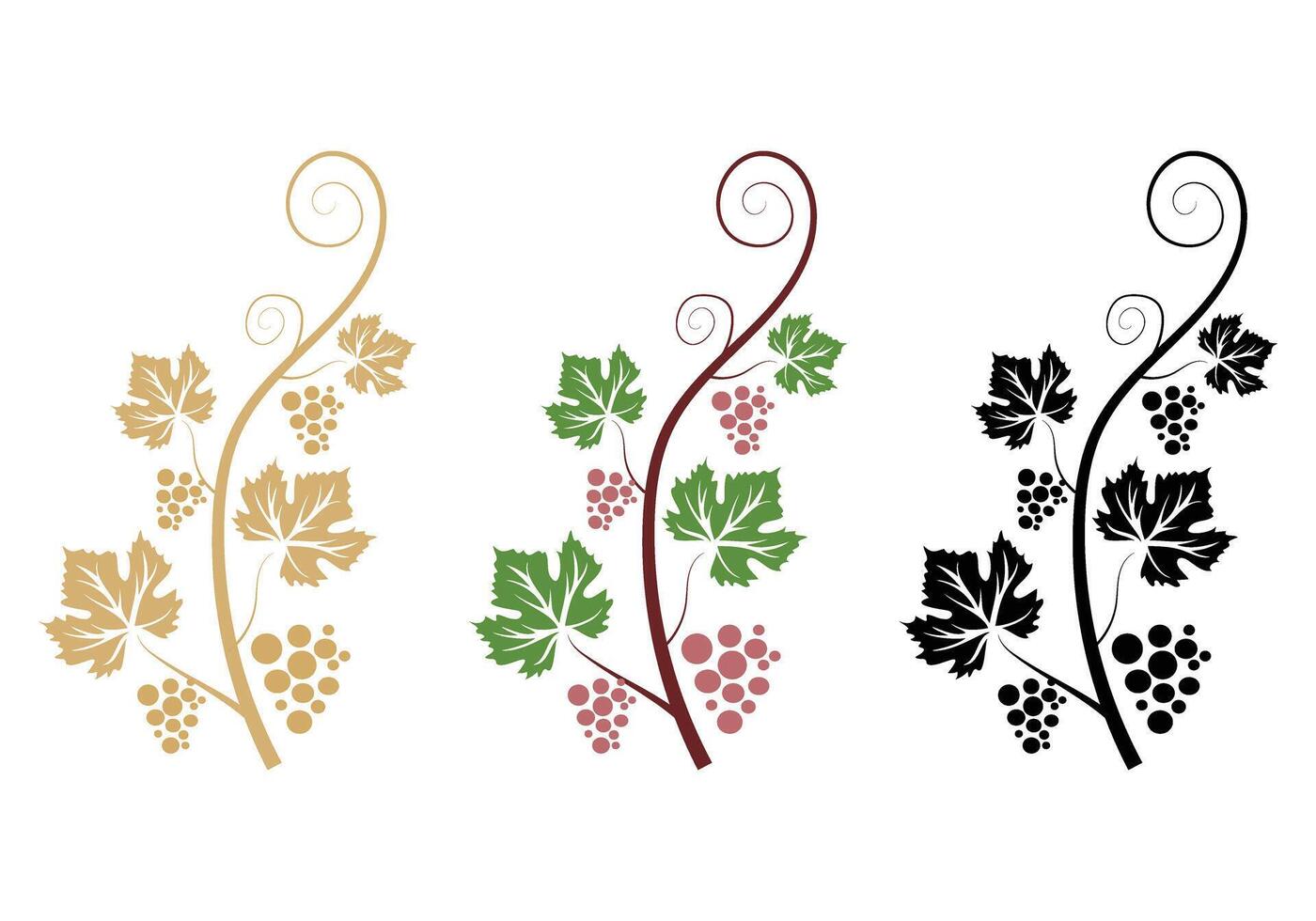 Decoration grapevine, Vine canes and grapes. Grape vine silhouette. illustration vector
