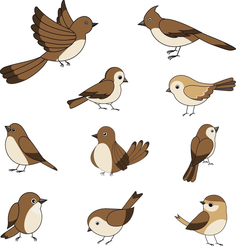10 birds set that can be used in wide range of designs vector