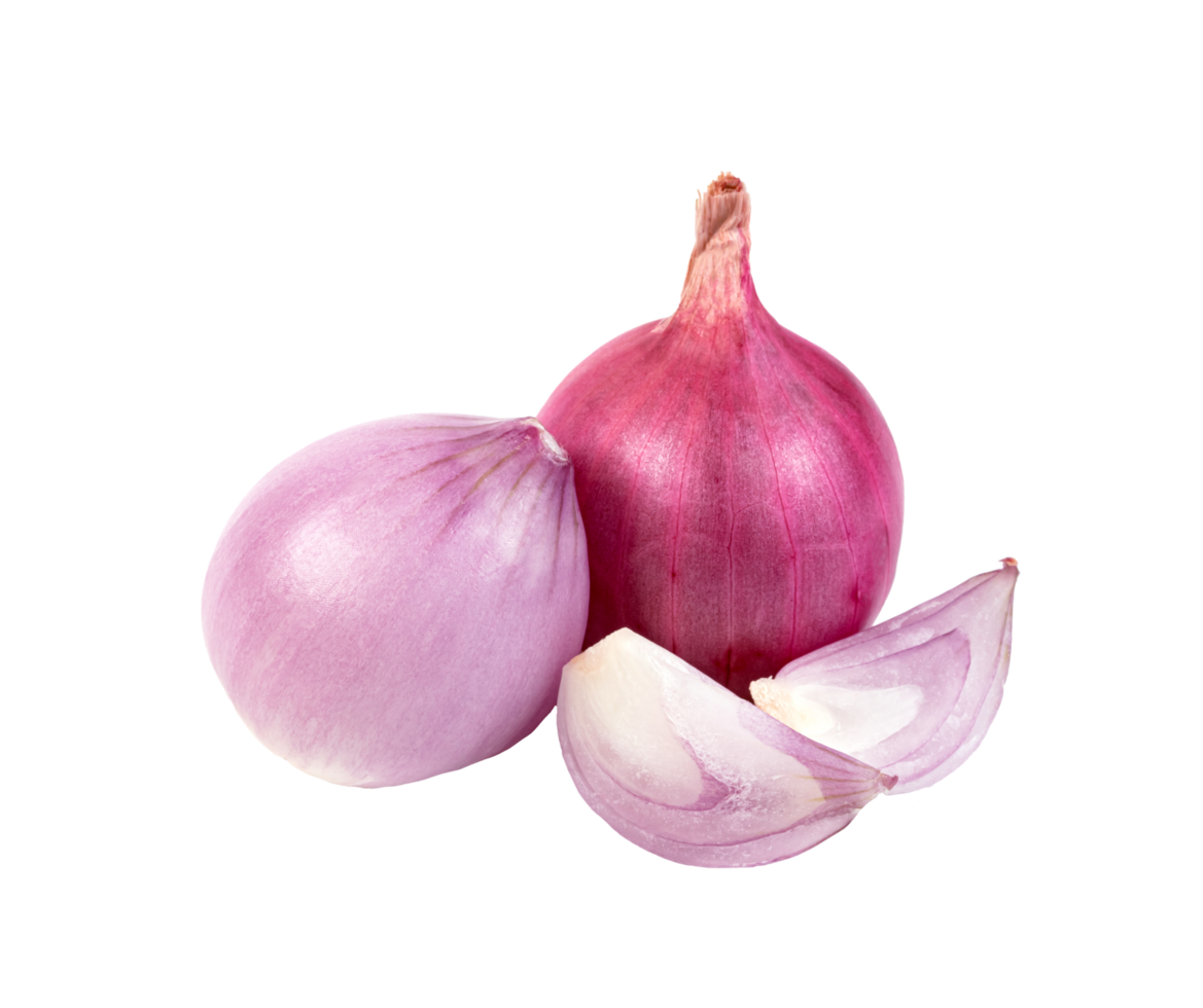 shallots onion chopped isolated png