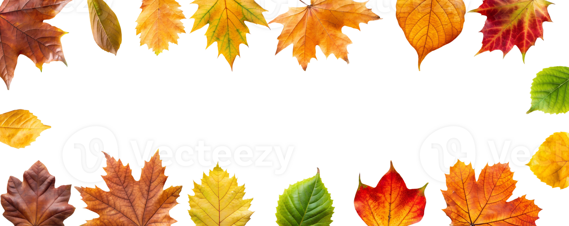 Border frame of fallen yellow and orange leaves isolated on a transparent background top view. Minimal autumn season concept. Flat layout. Set of autumn leaves cut , nature. Bright autumn leaves png