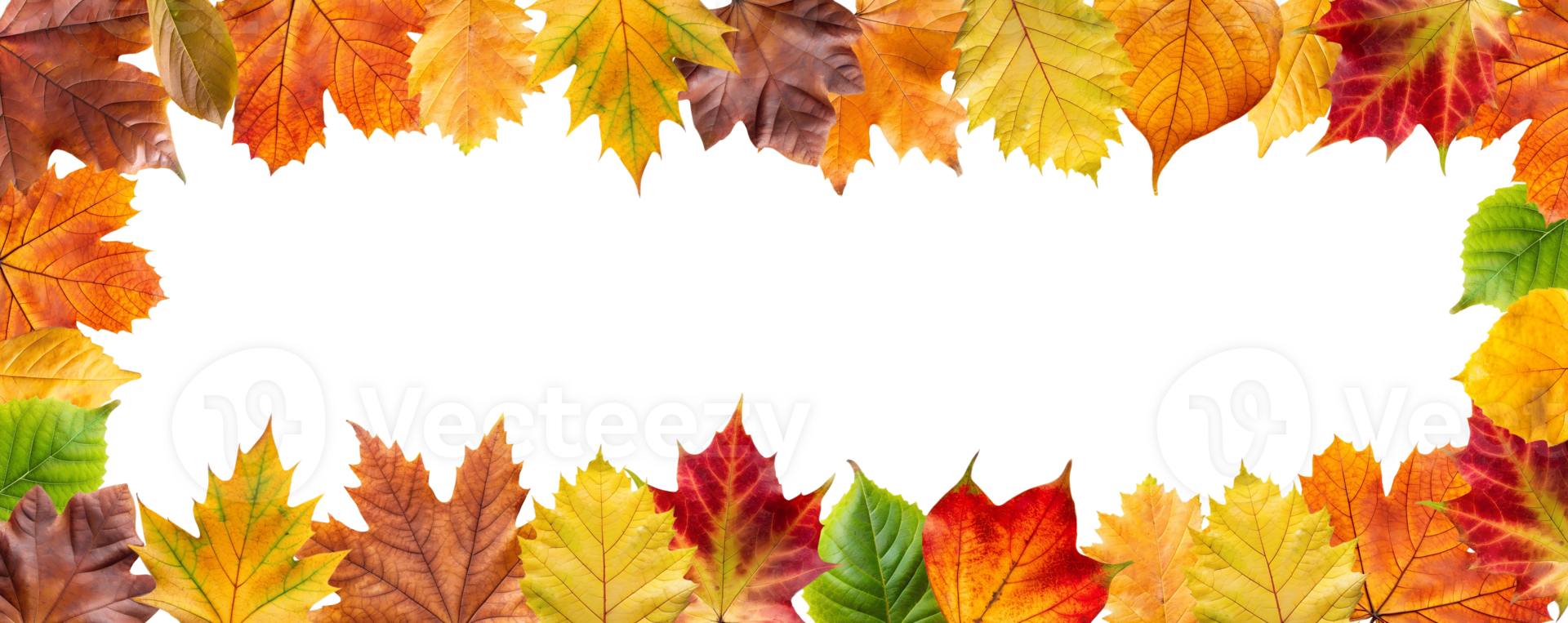 Border frame of fallen yellow and orange leaves isolated on a transparent background top view. Minimal autumn season concept. Flat layout. Set of autumn leaves cut , nature. Bright autumn leaves png