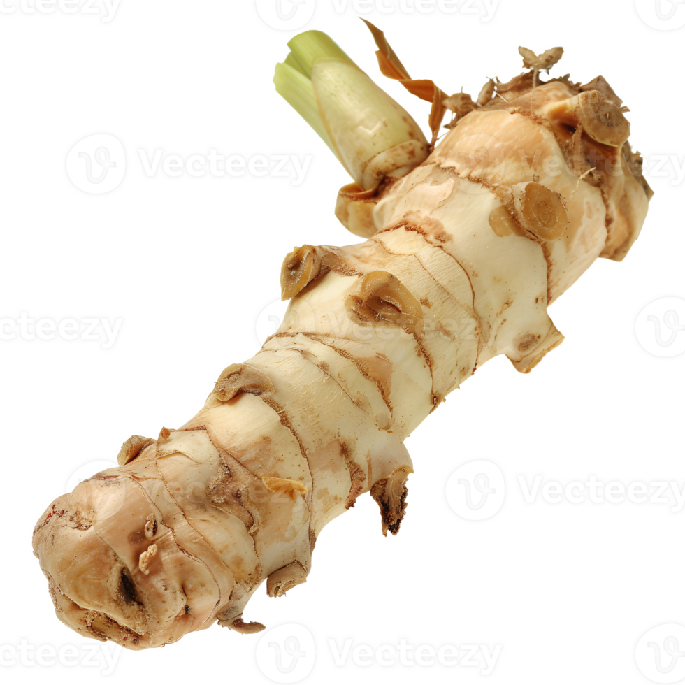 A galangal root, culinary herb element, Generated AI png