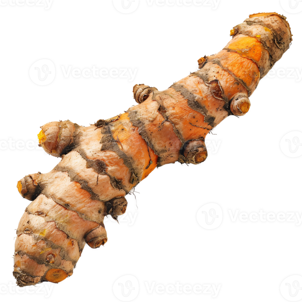 A turmeric root, medicinal herb element, Generated AI png