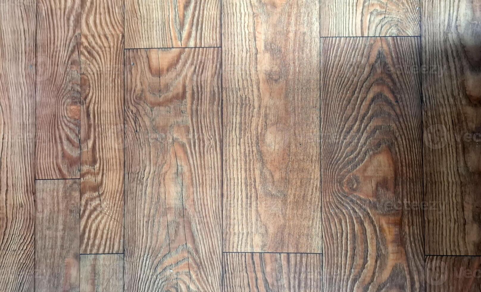 Woodgrain flooring warm and inviting photo