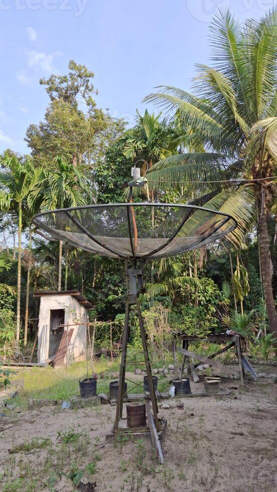 A satellite dish in a tropical garden reaching for the sky photo