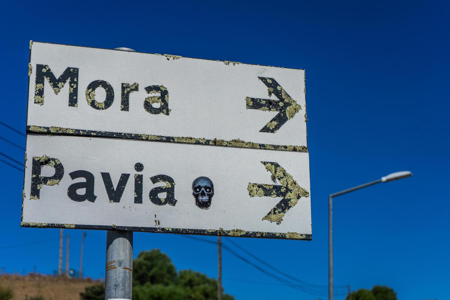 Road sign pointing to Mora and Pavia in Alentejo, Portugal, under a clear blue sky. The sign stands at a rural crossroads, surrounded by typical Alentejo countryside scenery. photo