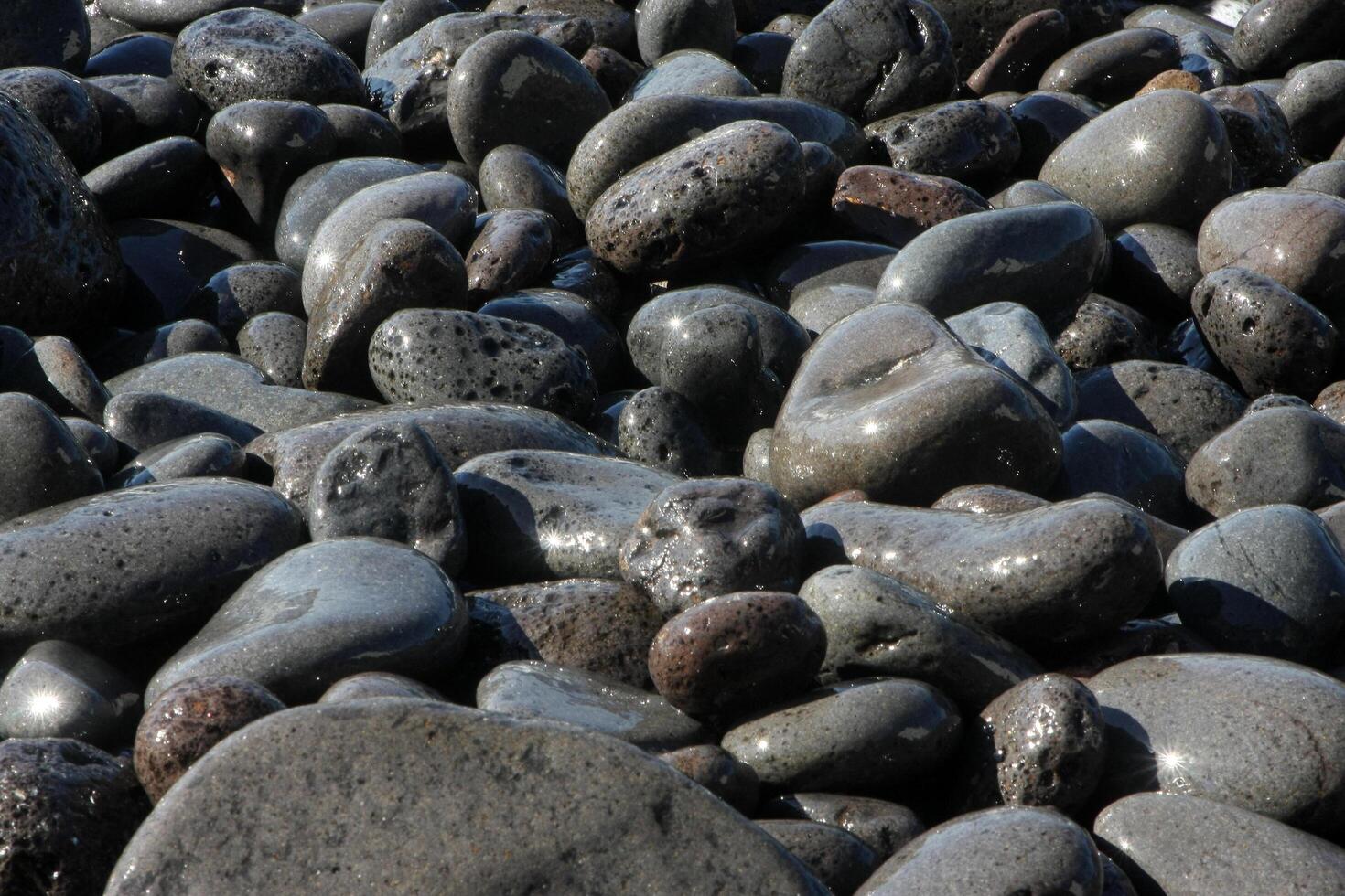 Close-up of black volcanic stones on a Funchal, Madeira beach, showcasing their unique texture and color in the coastal environment. photo