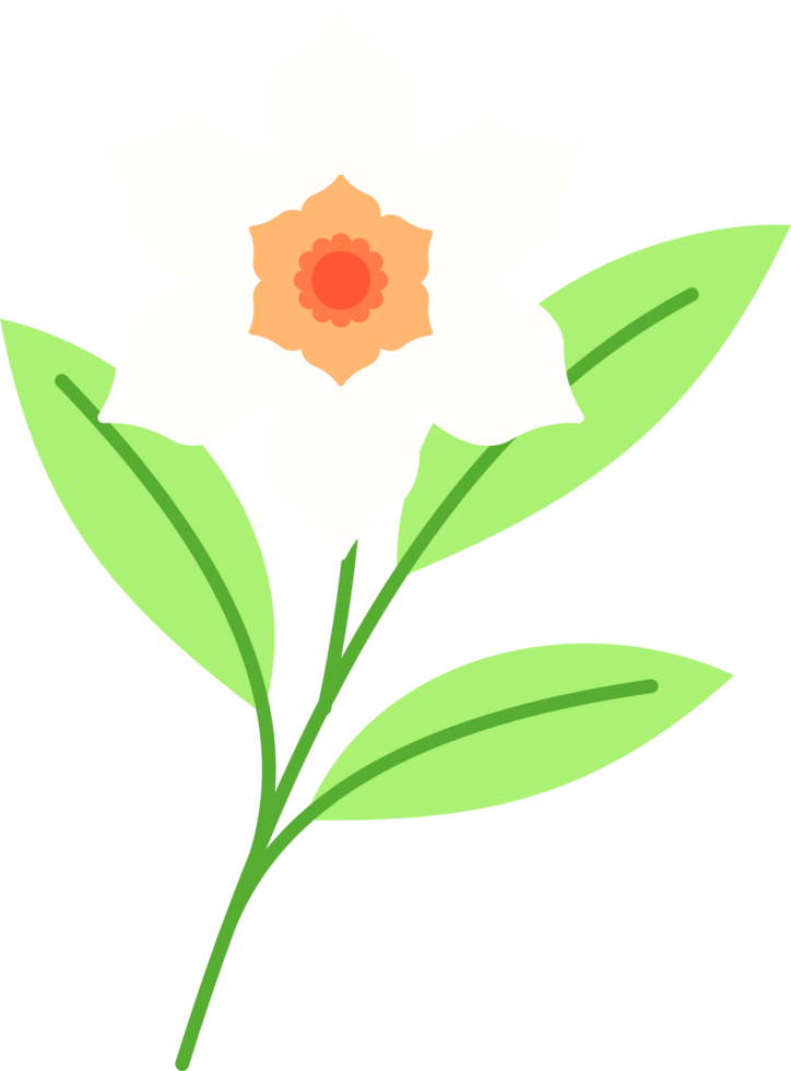 White Flower, Illustration, Beautiful Flower png