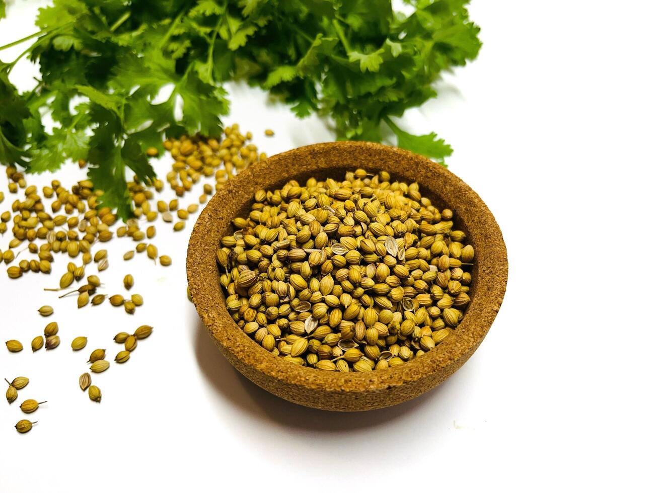 Coriander seeds in a bowl and green fresh cilantro. The cilantro is bright green and has serrated leaves. Fresh vegetables on white. Selected Focused photo