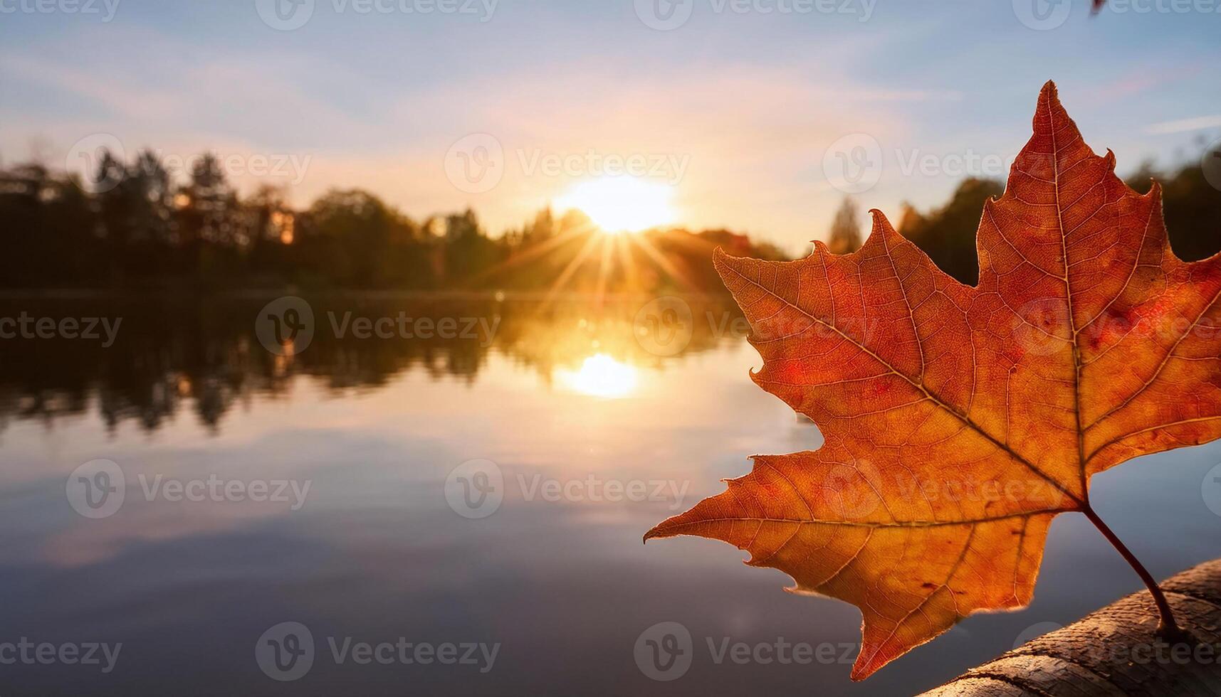 autumn leaf by the lake photo