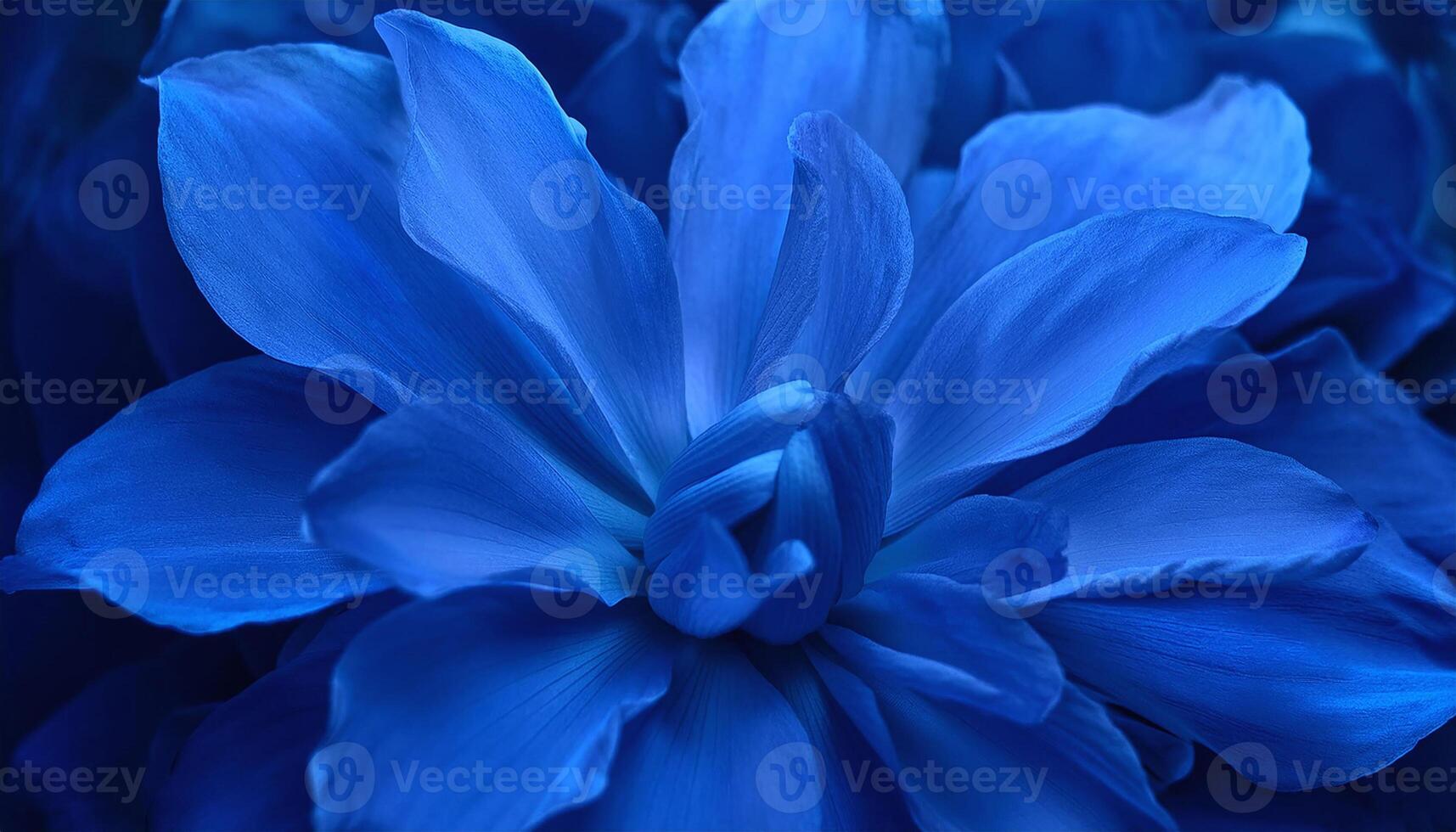 blue flower wallpaper hd wallpaper photo