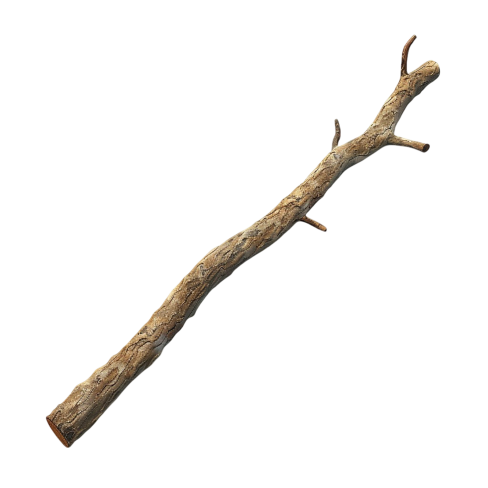 Stick with No Leaves on Transparent Background AI-Generative png