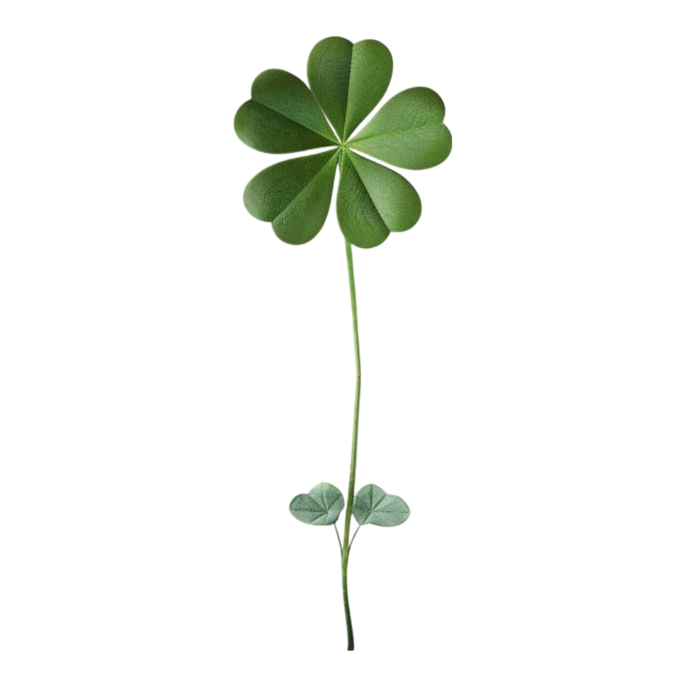 Leaf Clover Plant on Transparent Background AI-Generative png