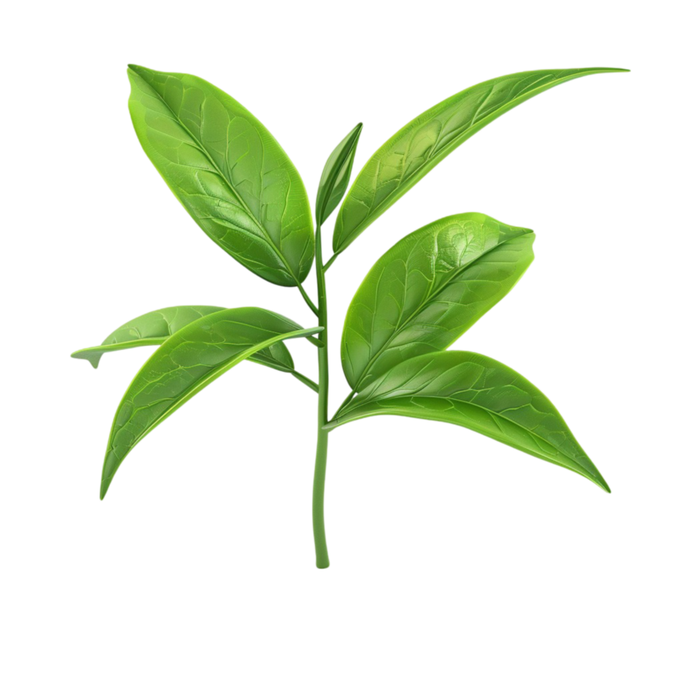 Green Leaf on Transparent Background AI-Generative png