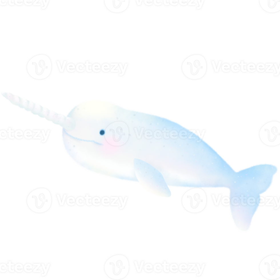 Narwhal cartoon pastel style illustration Cute ocean whale fish Hand drawn png