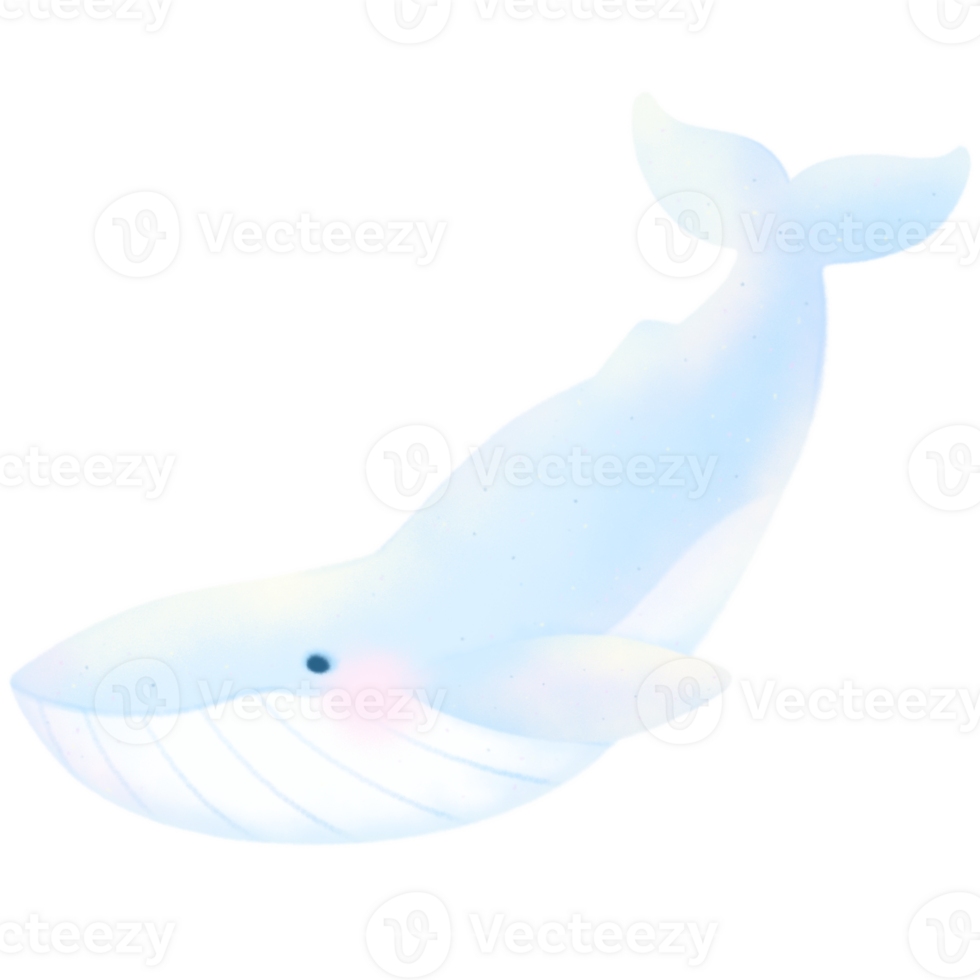 Blue Whale cartoon pastel style illustration Cute ocean whale fish Hand drawn png