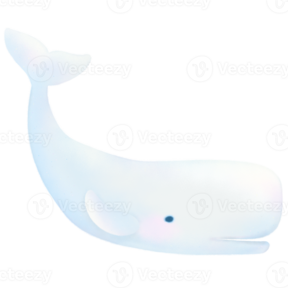 Sprem Whale cartoon pastel style illustration Cute ocean whale fish Hand drawn png