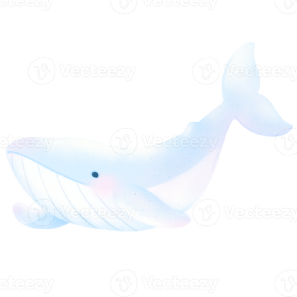 Blue Whale cartoon pastel style illustration Cute ocean whale fish Hand drawn png