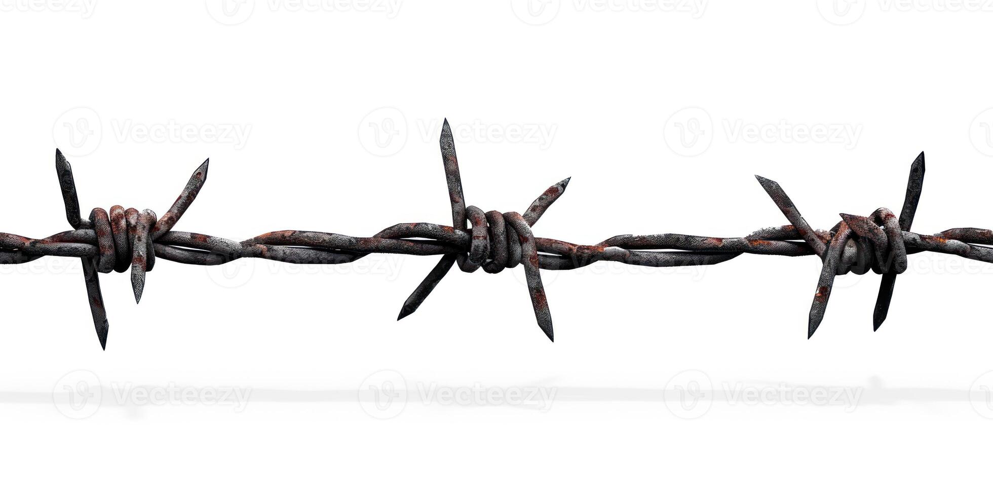 very sharp nails mounted together and against the barbed wire, photo