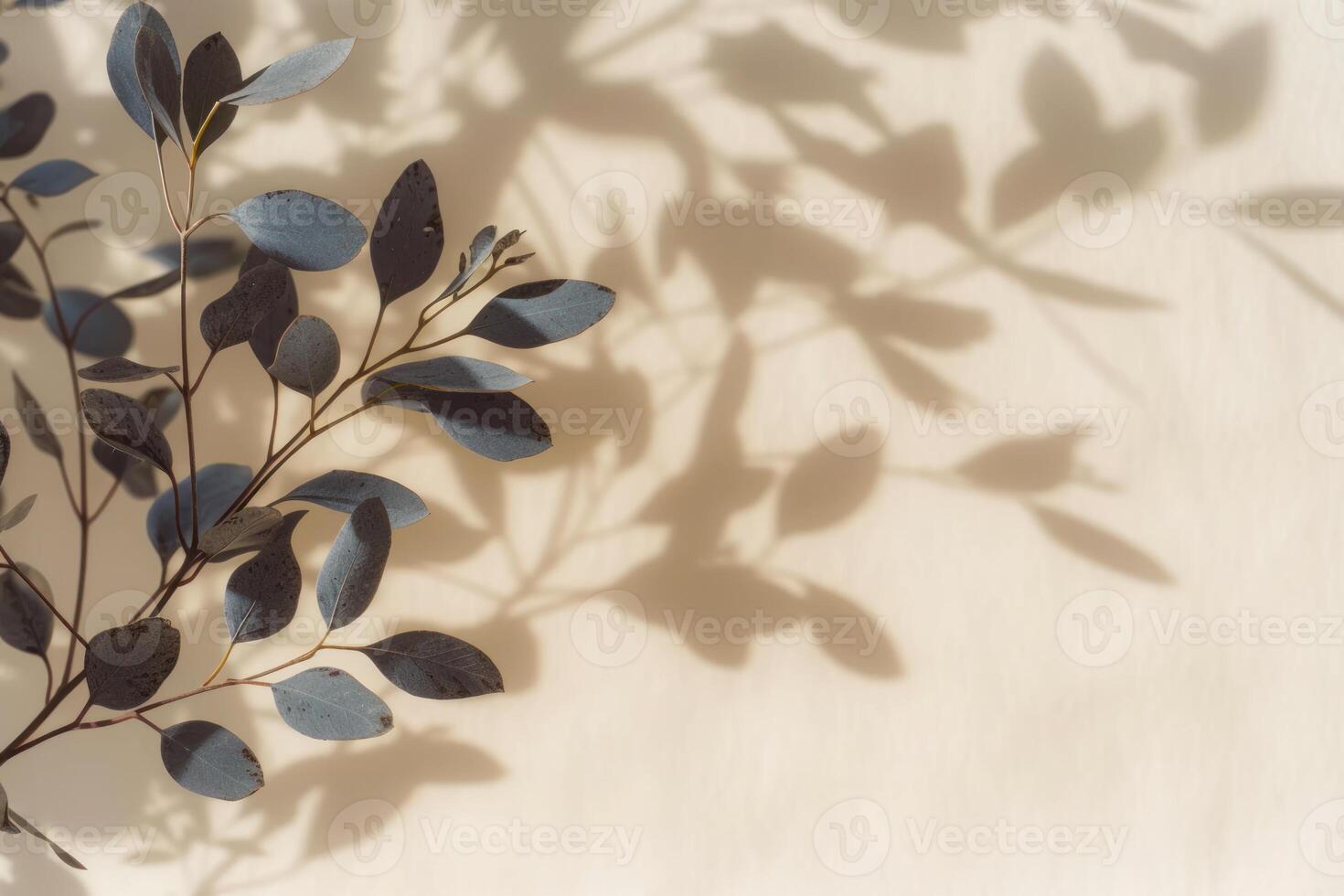 some green leafy branches with light shining through the leaves, photo