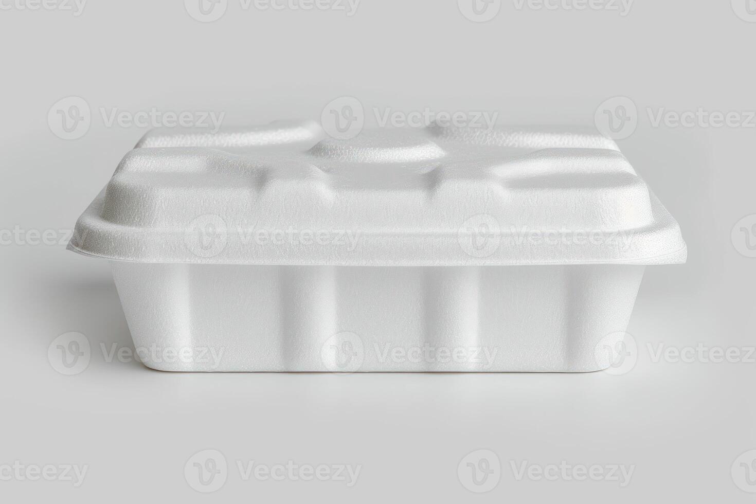 a plain, styrofoam container with large white dividers, photo