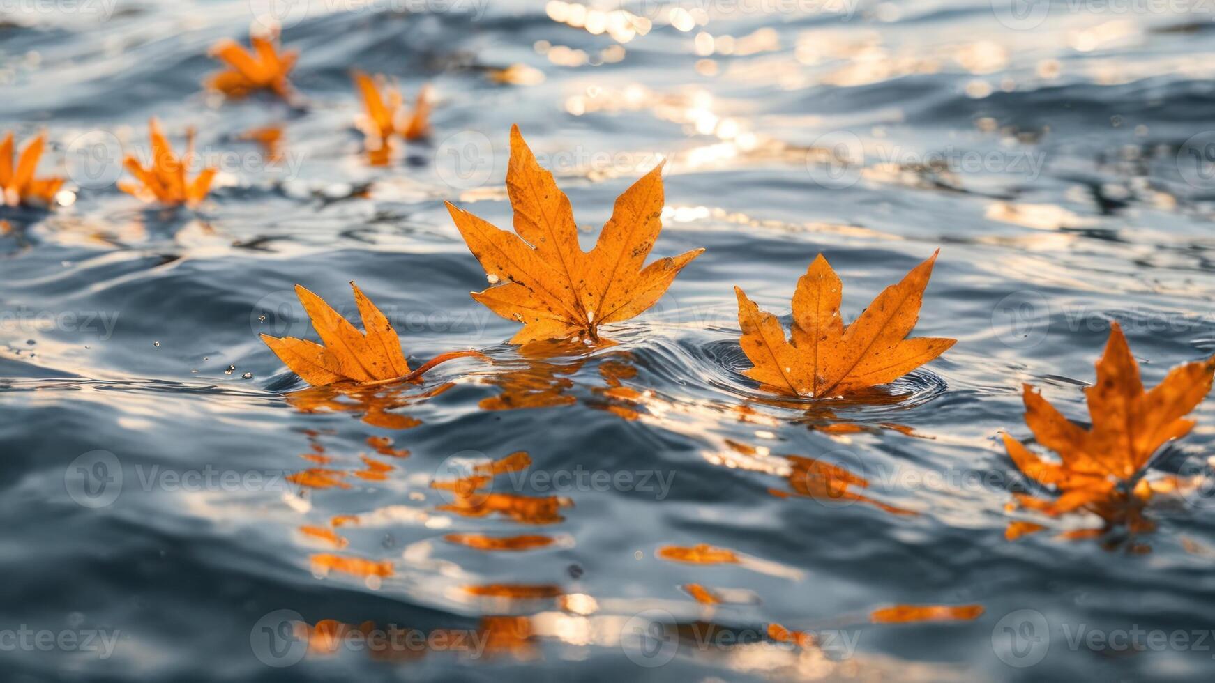 a collection of leaves floating in the water, photo