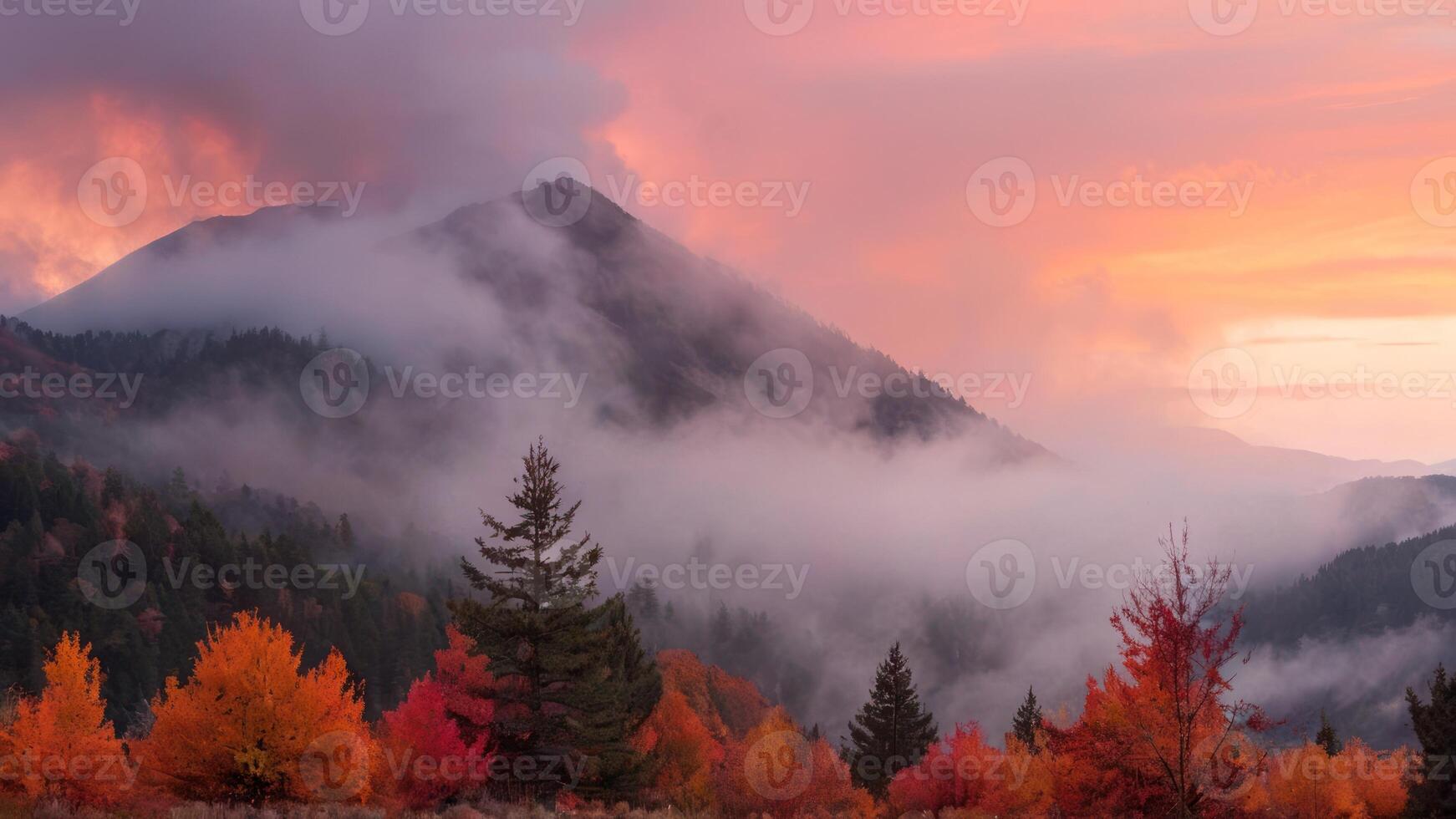 misty fall over trees covered in fog and haze, photo